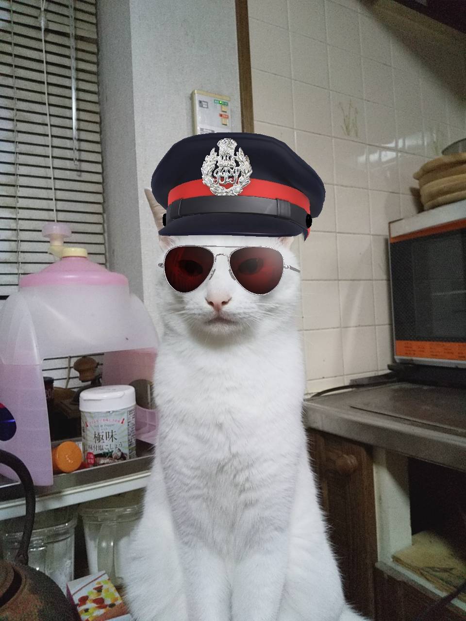 ホームシックになってます。