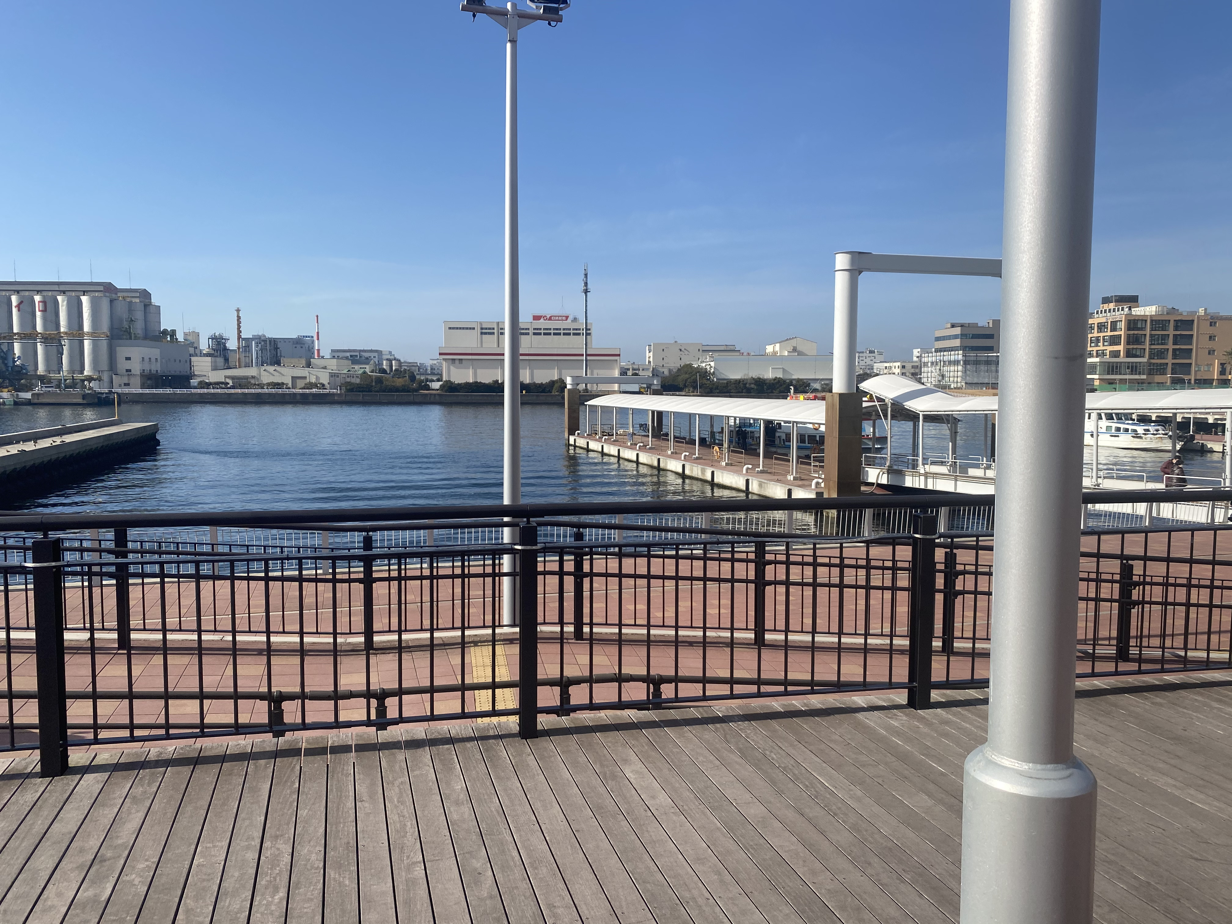 日曜日を満喫しました。