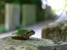 石の上にも３年