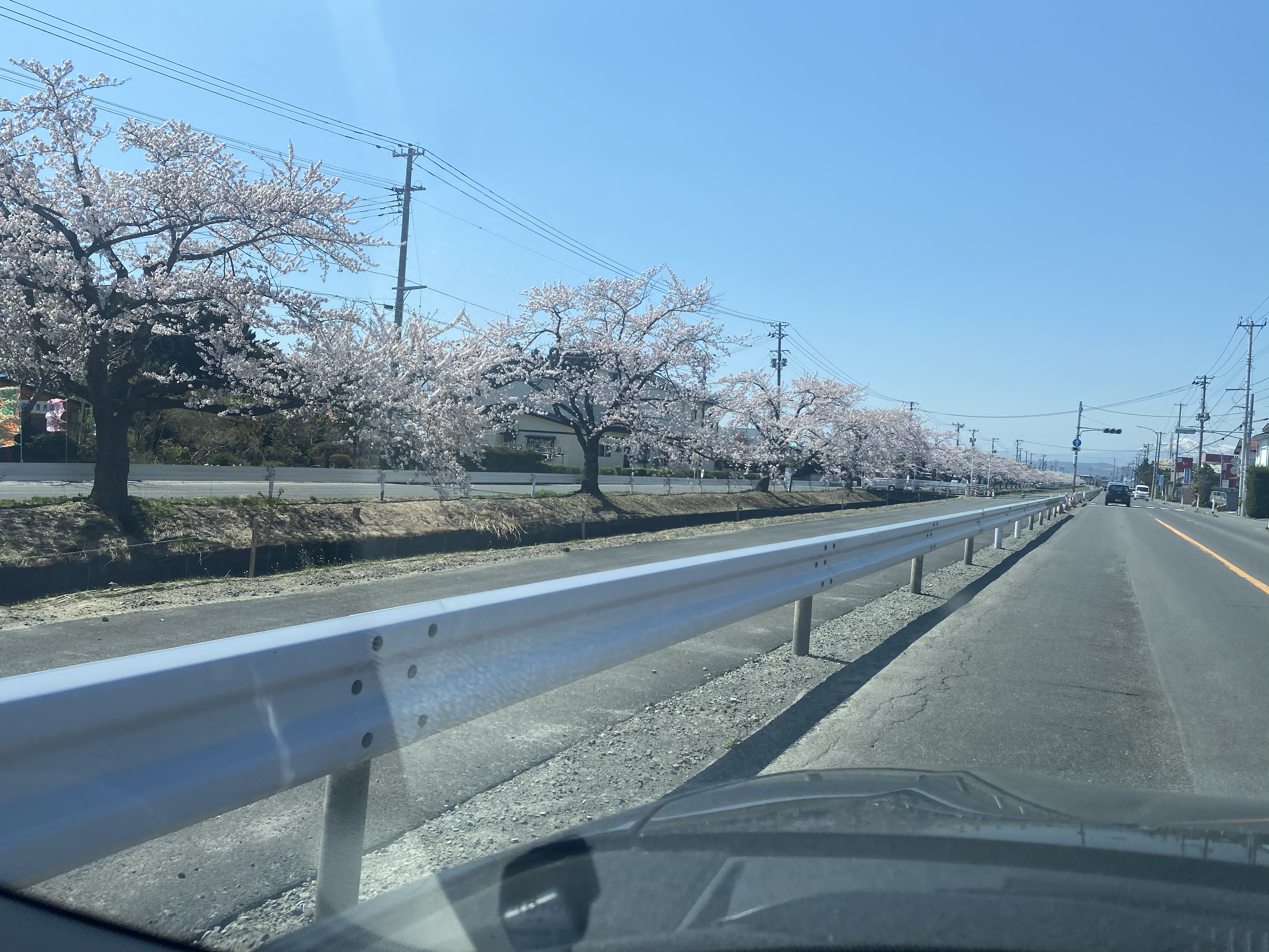 奥入瀬渓流に行ってきました。
