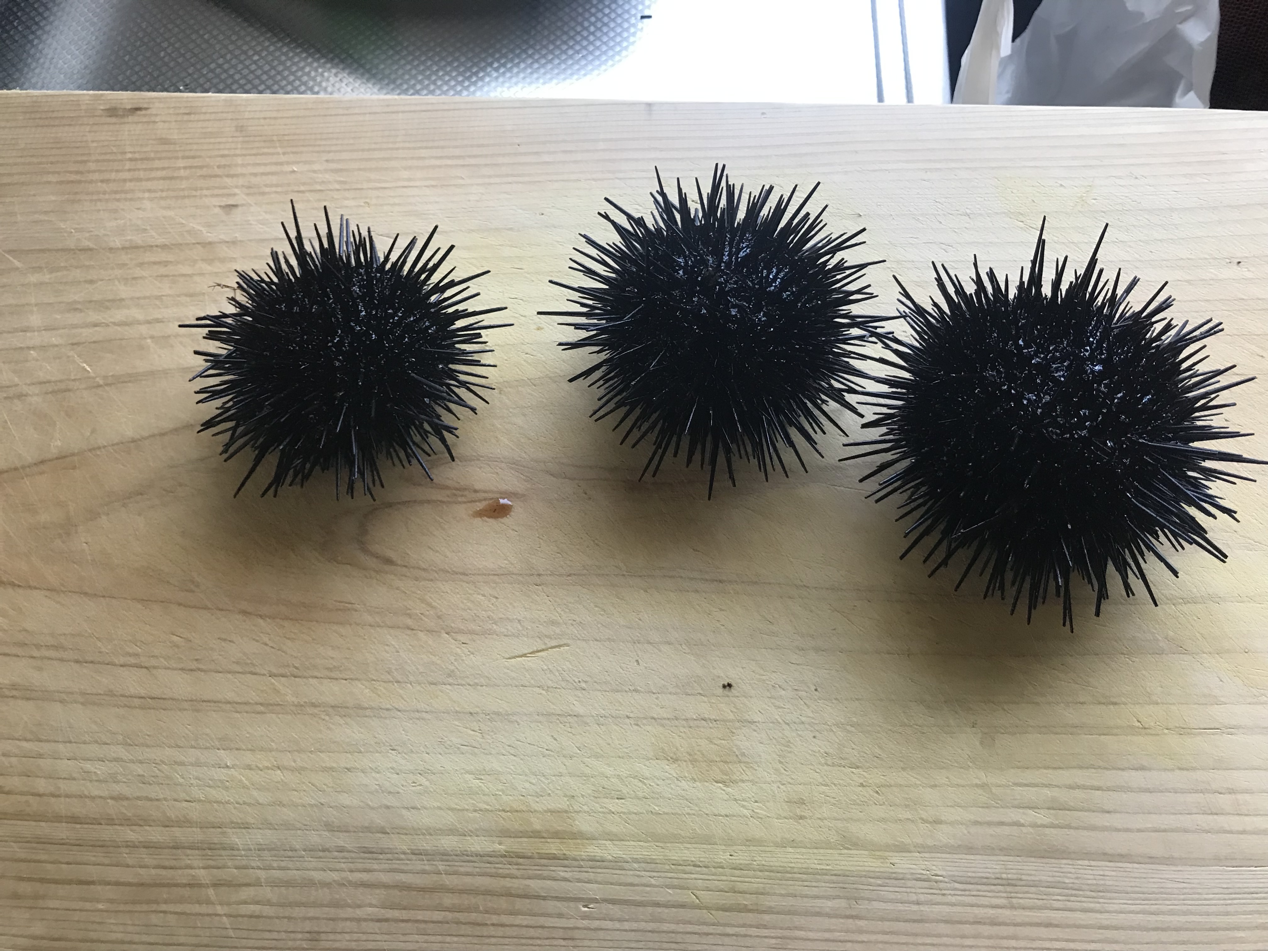 プロに頼むべき